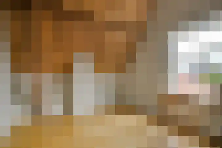 Levendaal 153 Leiden thumbnail 31