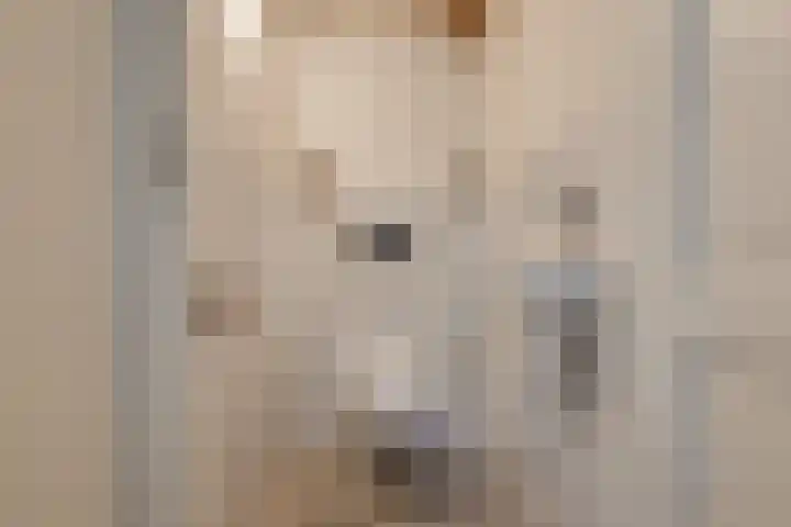 Levendaal 153 Leiden thumbnail 4