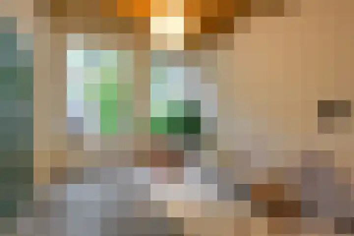 Levendaal 153 Leiden thumbnail 8