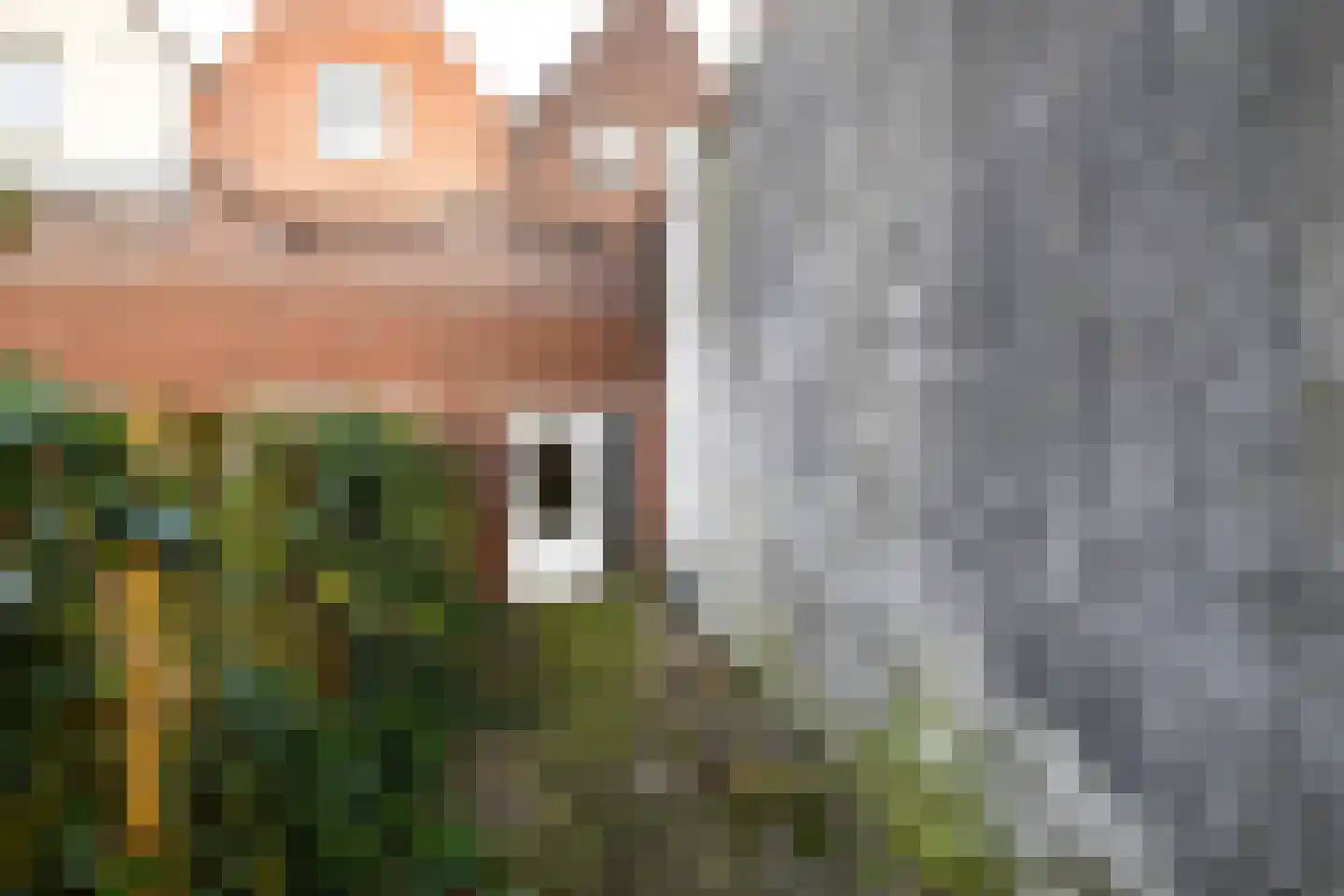 Levendaal 161 Leiden thumbnail 16