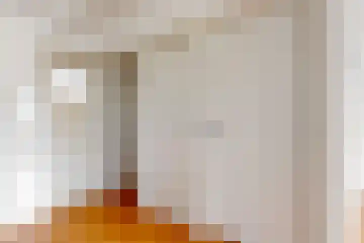 Levendaal 162 A Leiden thumbnail 7