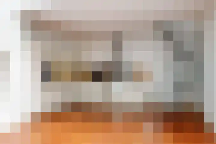 Levendaal 162 Leiden thumbnail 10
