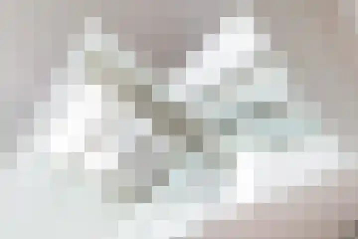 Levendaal 162 Leiden thumbnail 9