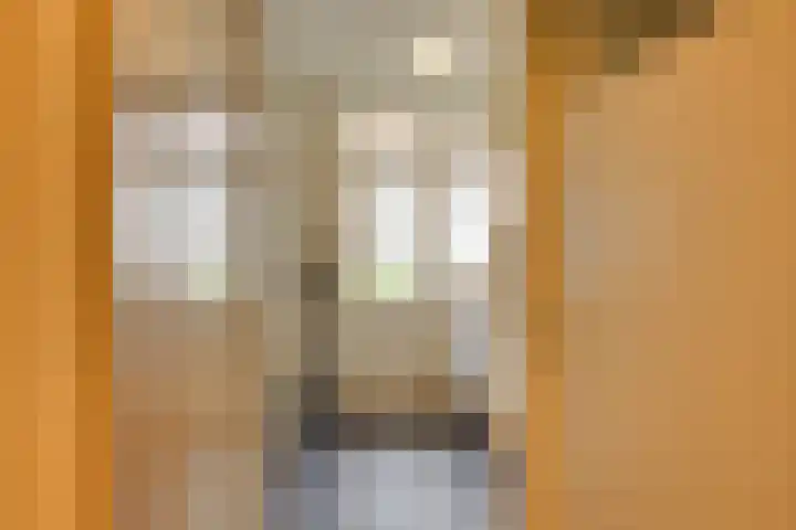 Levendaal 166 A Leiden thumbnail 11