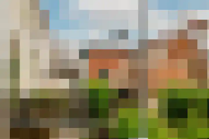 Levendaal 166 A Leiden thumbnail 15