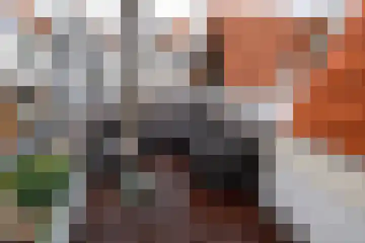 Levendaal 166 A Leiden thumbnail 25