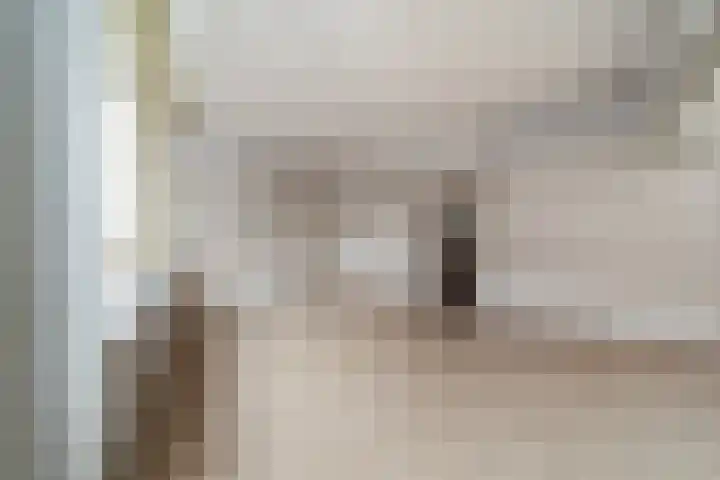 Levendaal 29 Leiden thumbnail 4