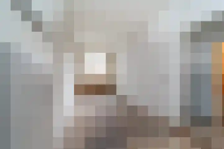 Levendaal 29 Leiden thumbnail 5