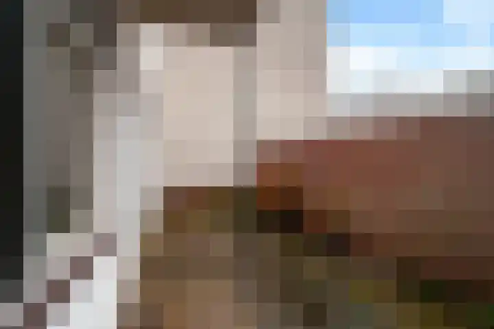 Levendaal 29 Leiden thumbnail 9