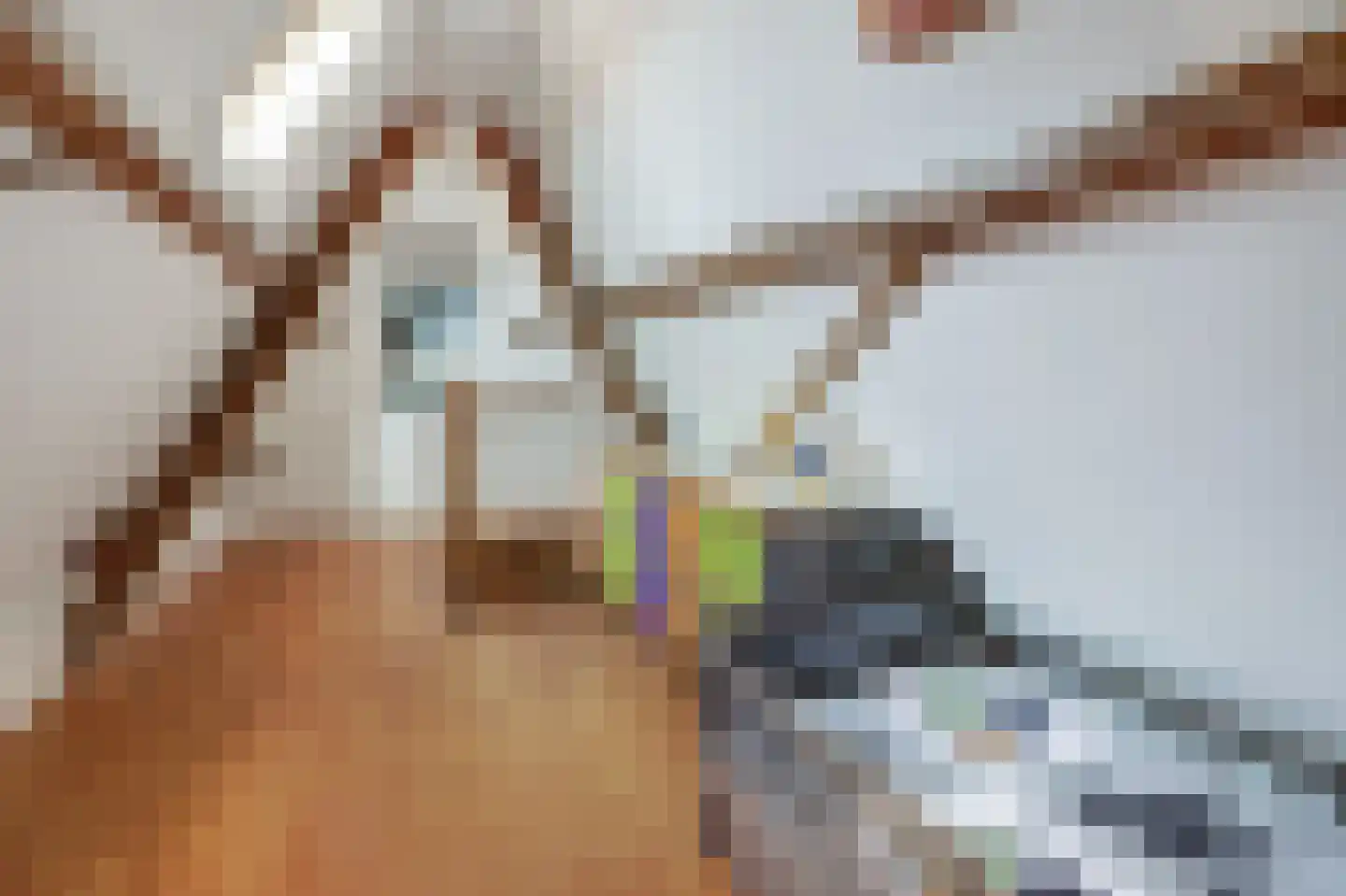 Levendaal 85 A Leiden thumbnail 23