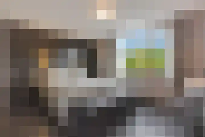 Levendaalseweg 2 A Rhenen thumbnail 13