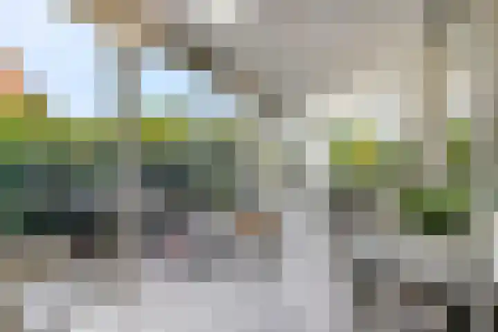 Levendaalseweg 2 A Rhenen thumbnail 24