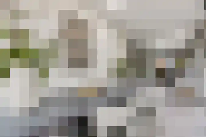 Levendaalseweg 2 A Rhenen thumbnail 25