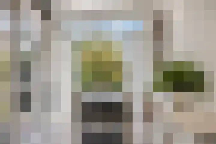 Levendaalseweg 2 A Rhenen thumbnail 27