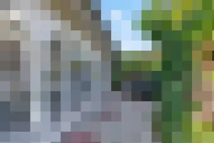 Levendaalseweg 2 A Rhenen thumbnail 28