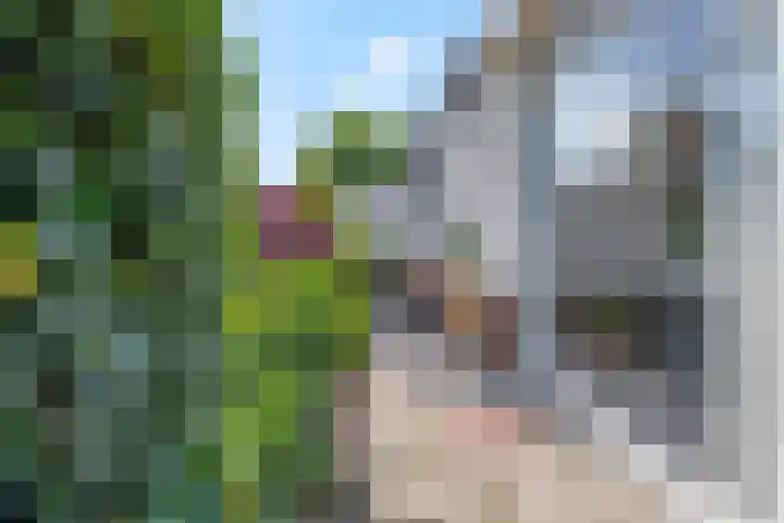 Levendaalseweg 2 A Rhenen thumbnail 29