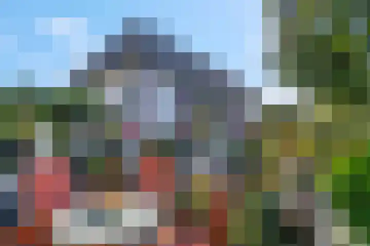 Levendaalseweg 2 A Rhenen thumbnail 30