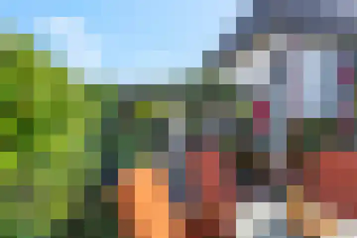 Levendaalseweg 2 A Rhenen thumbnail 31