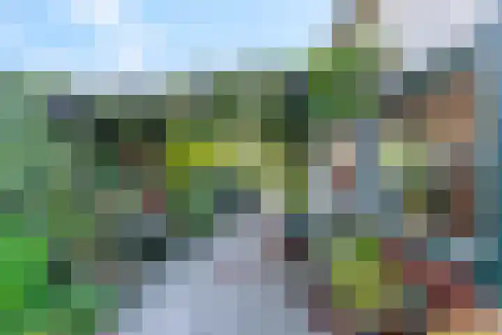 Levendaalseweg 2 A Rhenen thumbnail 4