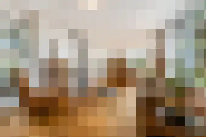 Levendaalseweg 2 A Rhenen thumbnail 7