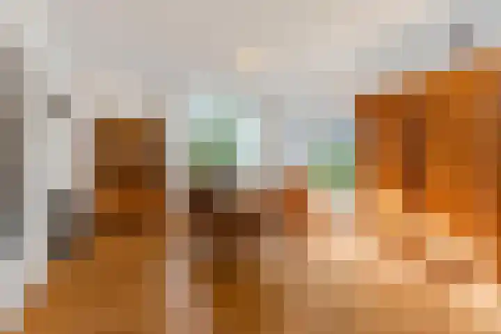 Levendaalseweg 2 A Rhenen thumbnail 9