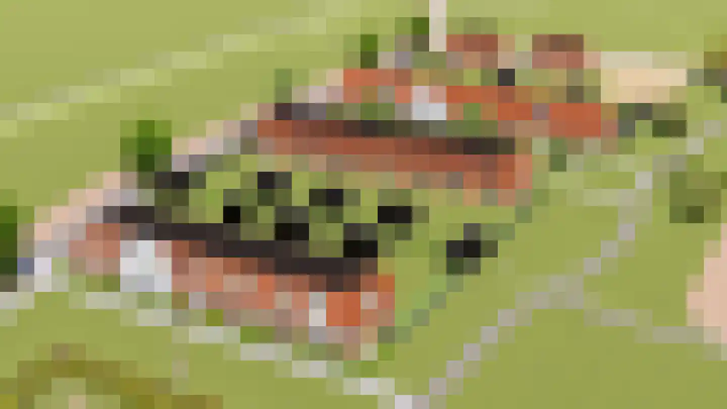 Levensloopbestendige woning tuit (Bouwnr. 8) 8 Sint Philipsland thumbnail 7