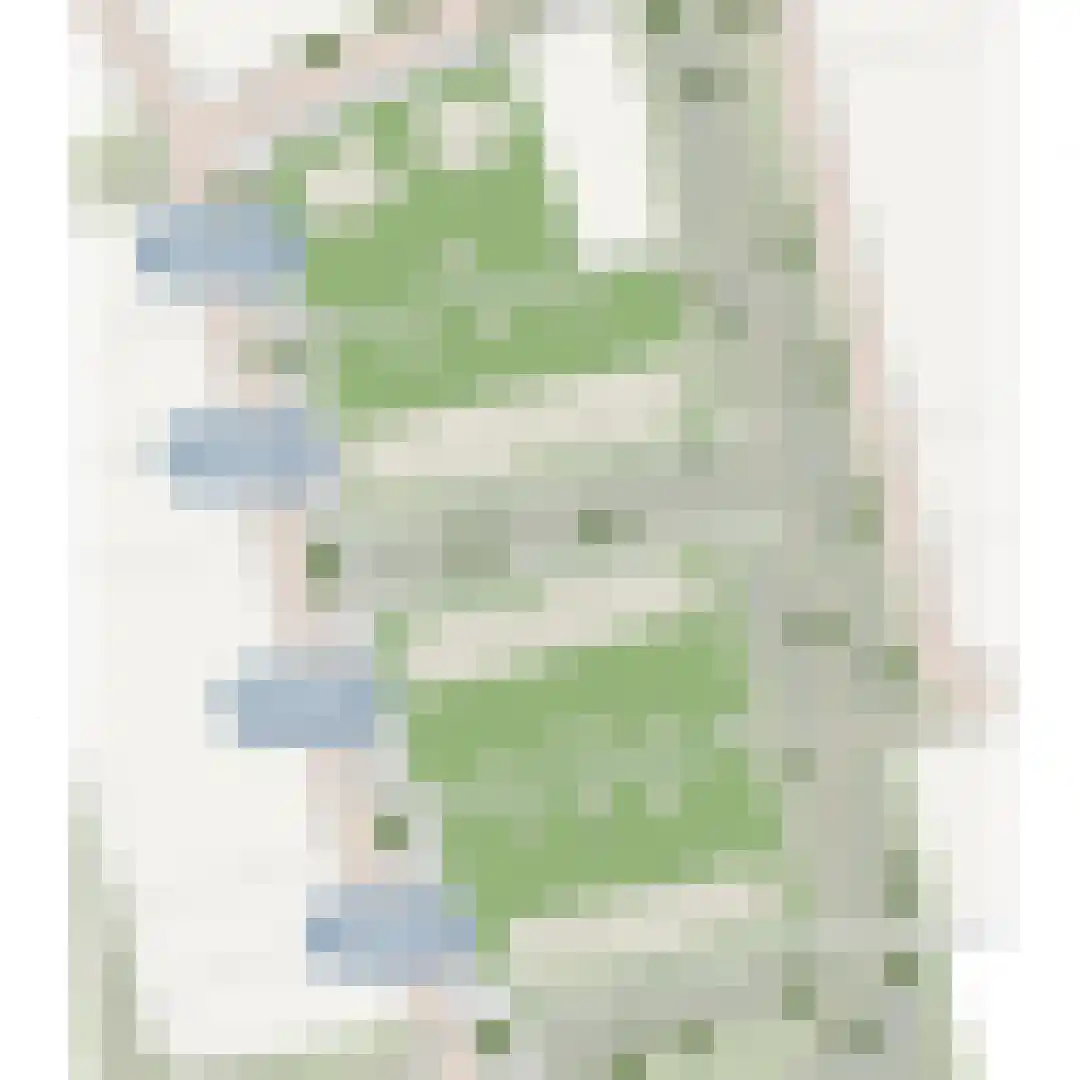 Levensloopbestendige woning tuit (Bouwnr. 8) 8 Sint Philipsland thumbnail 8