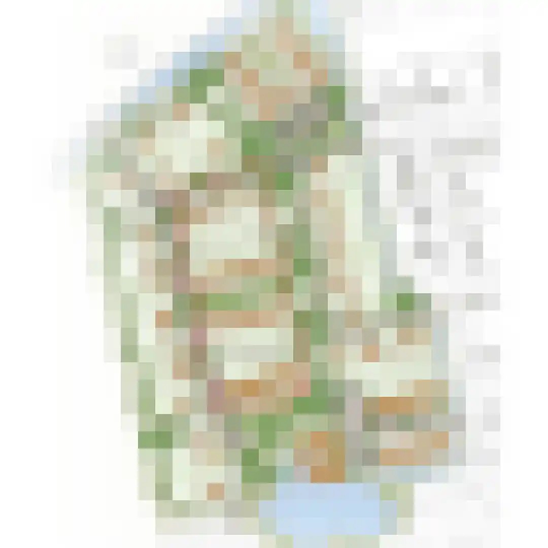Levensloopbestendige woning tuit (Bouwnr. 8) 8 Sint Philipsland thumbnail 9