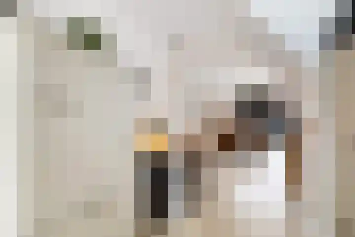 Leverkruid 15 Amersfoort thumbnail 10