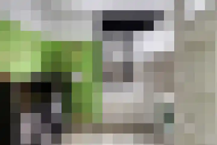 Leverkruid 15 Amersfoort thumbnail 15