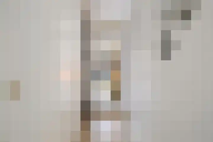 Leverkruid 15 Amersfoort thumbnail 24
