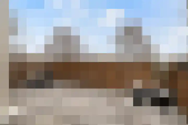 Leverkruid 15 Amersfoort thumbnail 31
