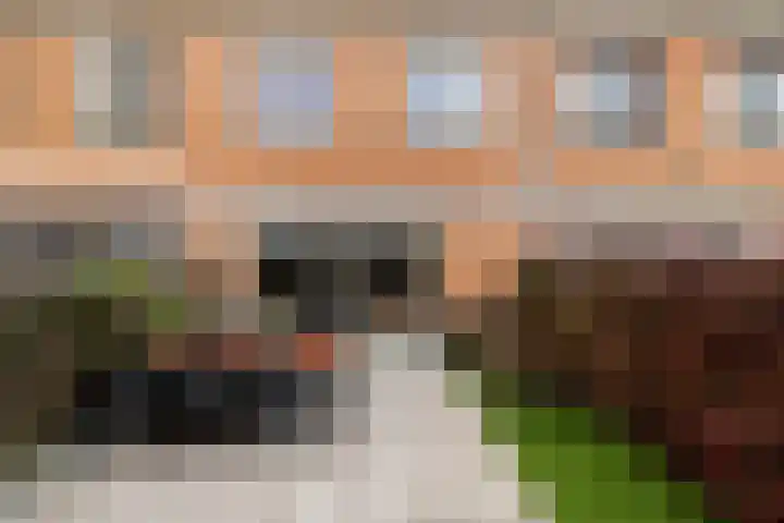 Leverkruid 15 Amersfoort thumbnail 32
