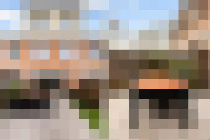 Leverkruid 15 Amersfoort thumbnail 33