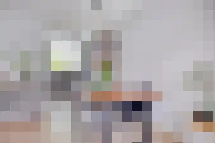 Leverkruid 18 Asten thumbnail 11