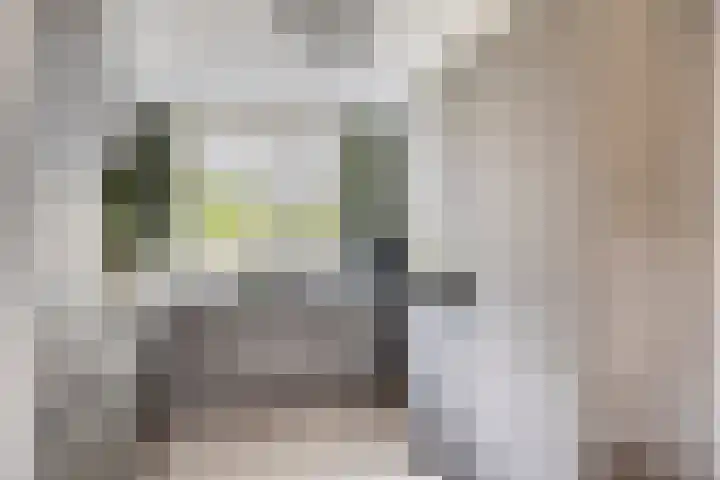 Leverkruid 18 Asten thumbnail 13