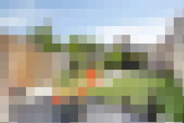 Leverkruid 18 Asten thumbnail 32