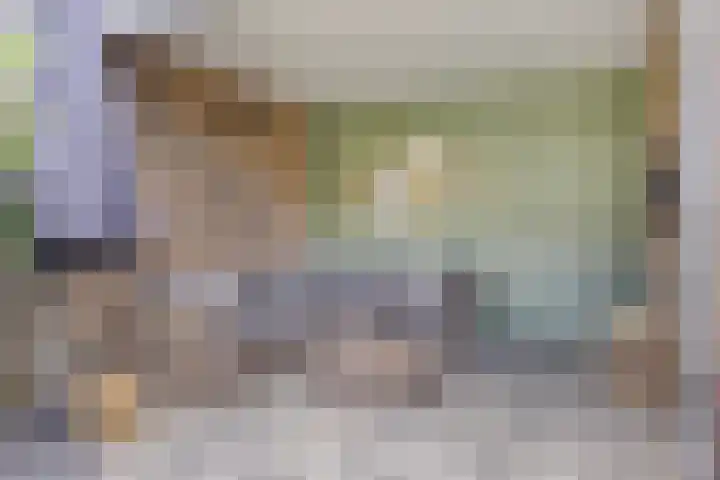 Leverkruid 18 Asten thumbnail 34