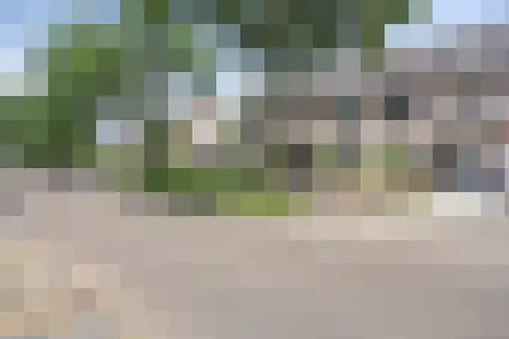 Leverkruid 18 Asten thumbnail 35