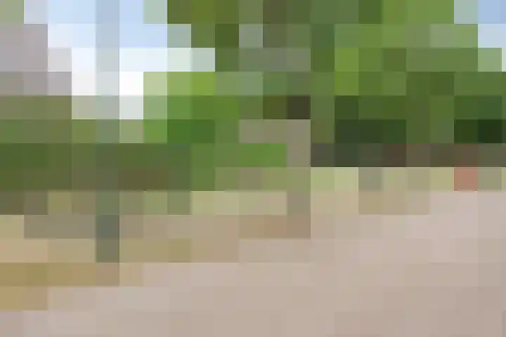 Leverkruid 18 Asten thumbnail 36