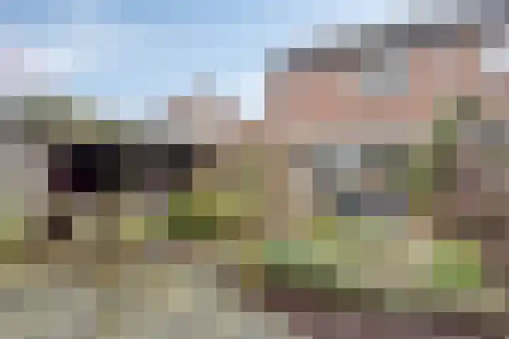 Leverkruid 18 Purmerend thumbnail 31