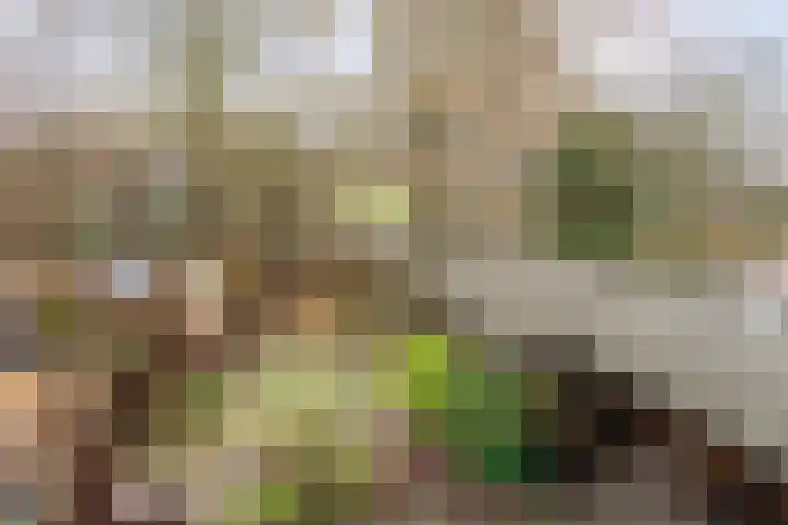 Leverkruid 18 Purmerend thumbnail 32