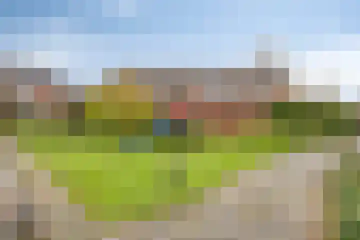 Leverkruid 18 Purmerend thumbnail 5