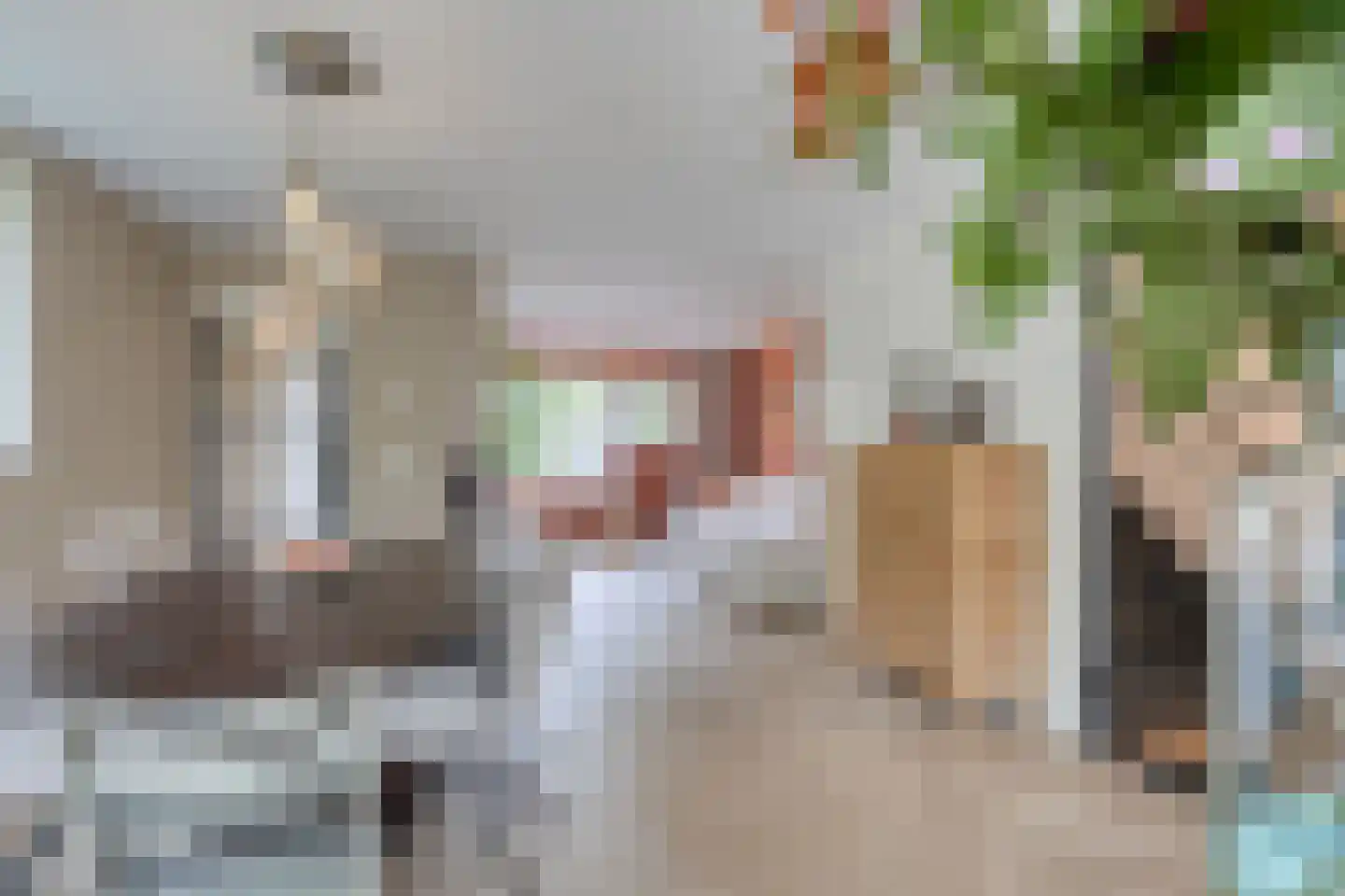 Leverkruid 28 Heemskerk thumbnail 11
