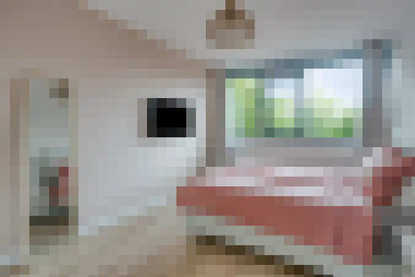 Leverkruid 28 Heemskerk thumbnail 13