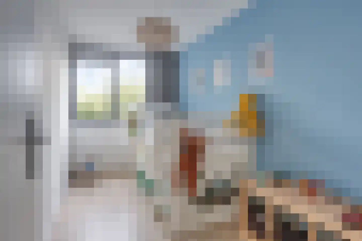 Leverkruid 28 Heemskerk thumbnail 15