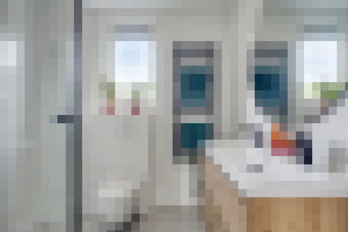 Leverkruid 28 Heemskerk thumbnail 17