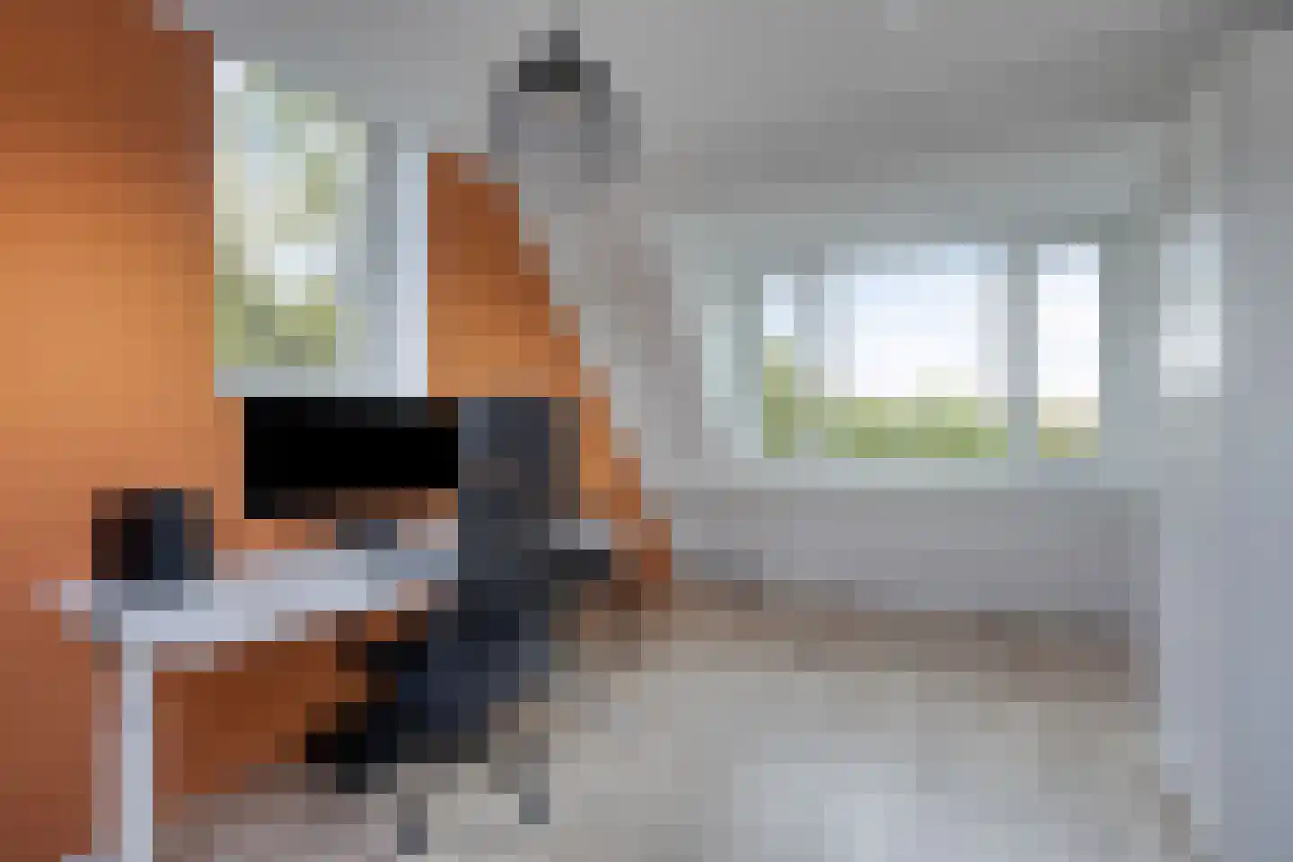 Leverkruid 28 Heemskerk thumbnail 20
