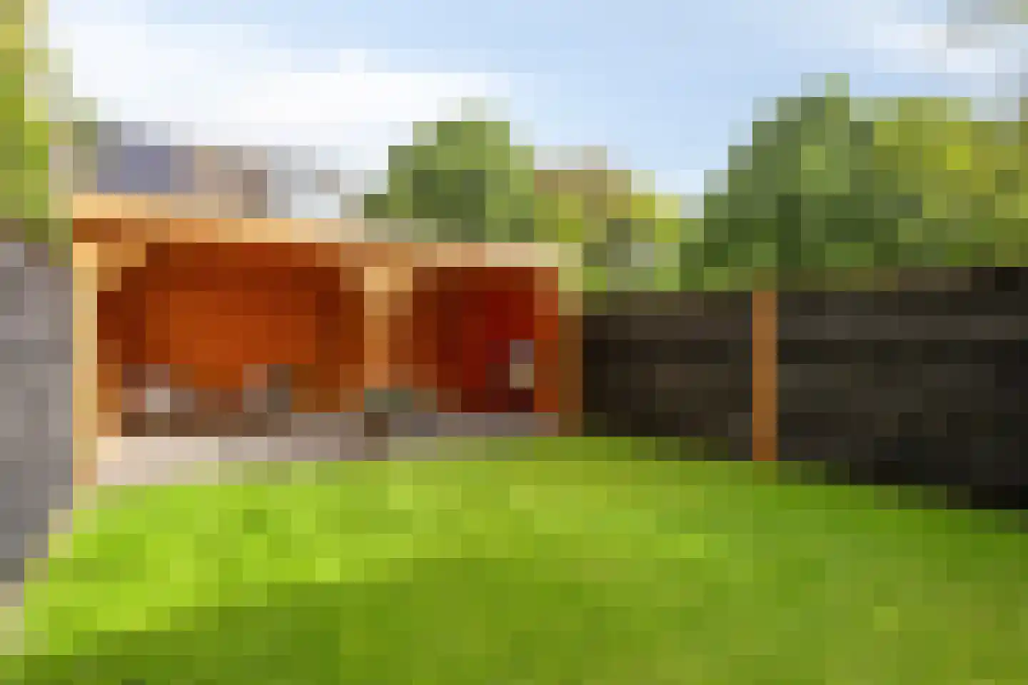 Leverkruid 28 Heemskerk thumbnail 23