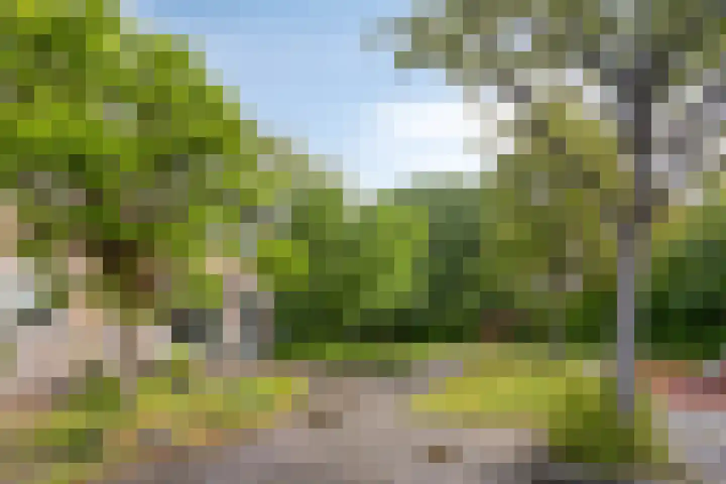 Leverkruid 28 Heemskerk thumbnail 25